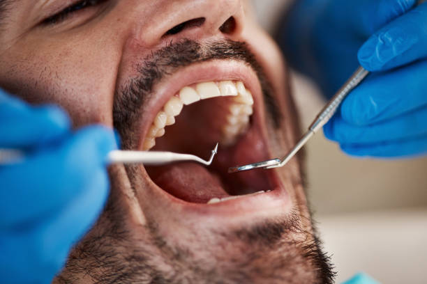 Best Urgent Dental Care for Toothache in Harleigh, PA